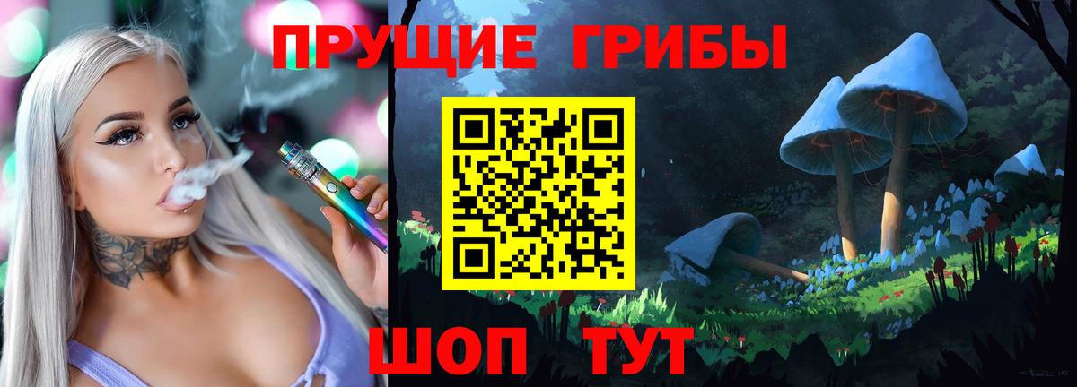 Псилоцибиновые грибы Psilocybe Воскресенск